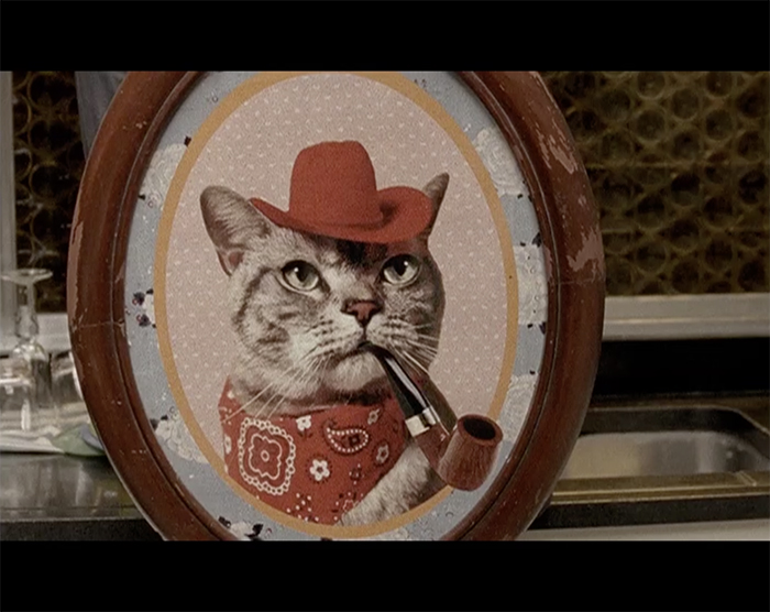 5x5 - 25 años de la comu